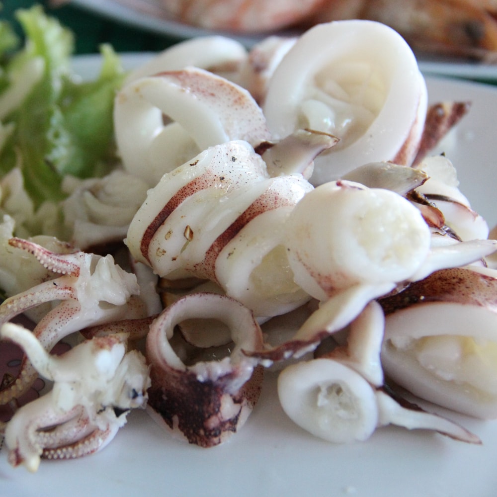 【勝傑水產】船釣鮮凍透抽500g±10%/只*共3只