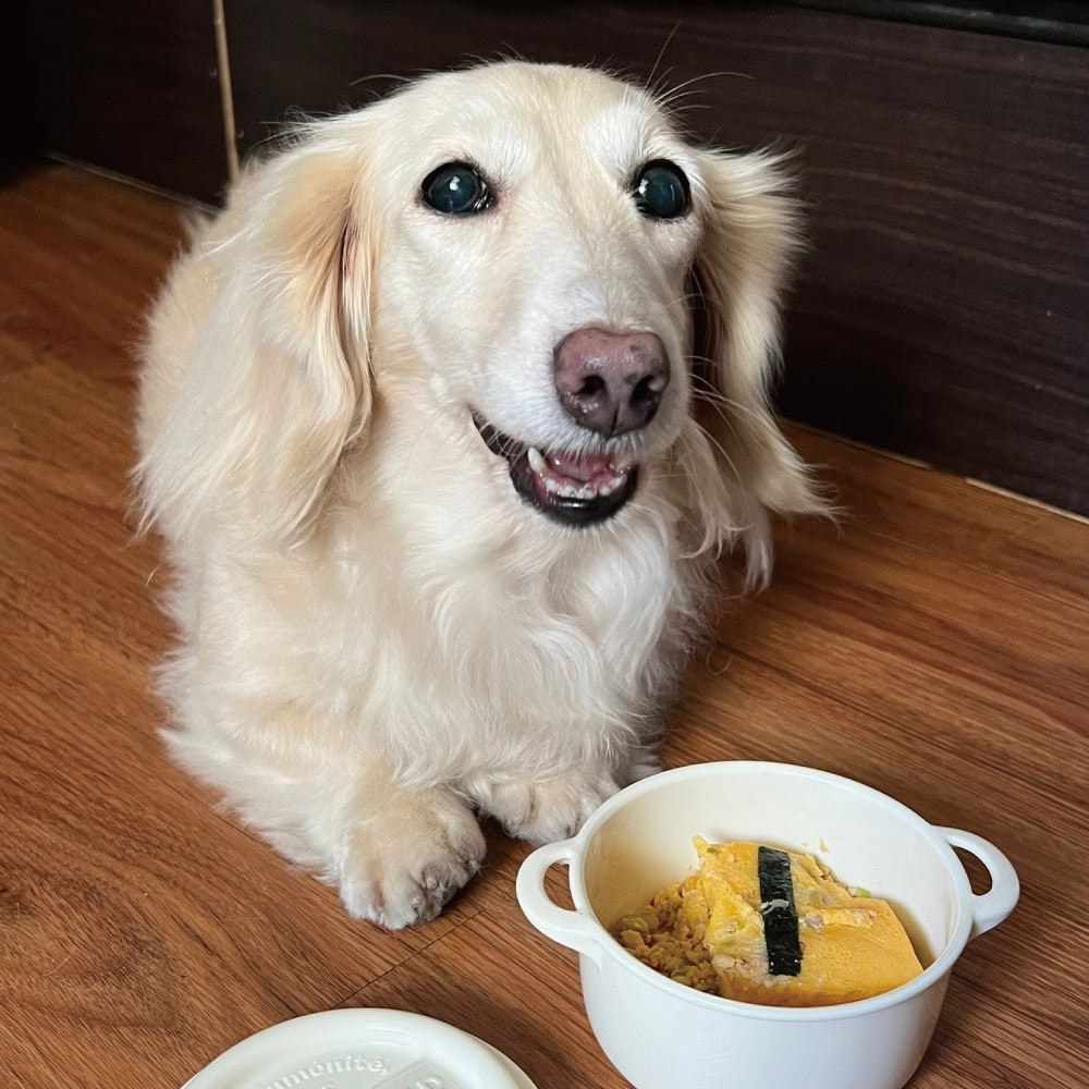 【汪事如意】雞肉親子丼 *5