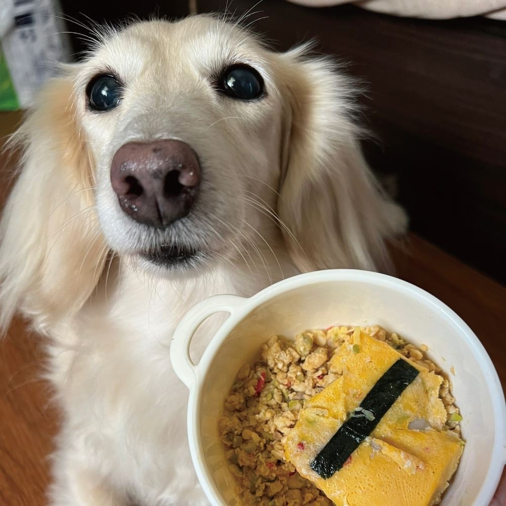 【汪事如意】雞肉親子丼 *5