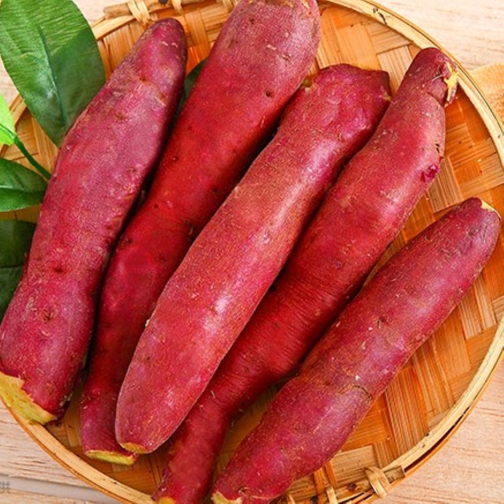 【綠之醇】特A級紅皮栗子地瓜-5包組 (夾鏈袋800g/包)