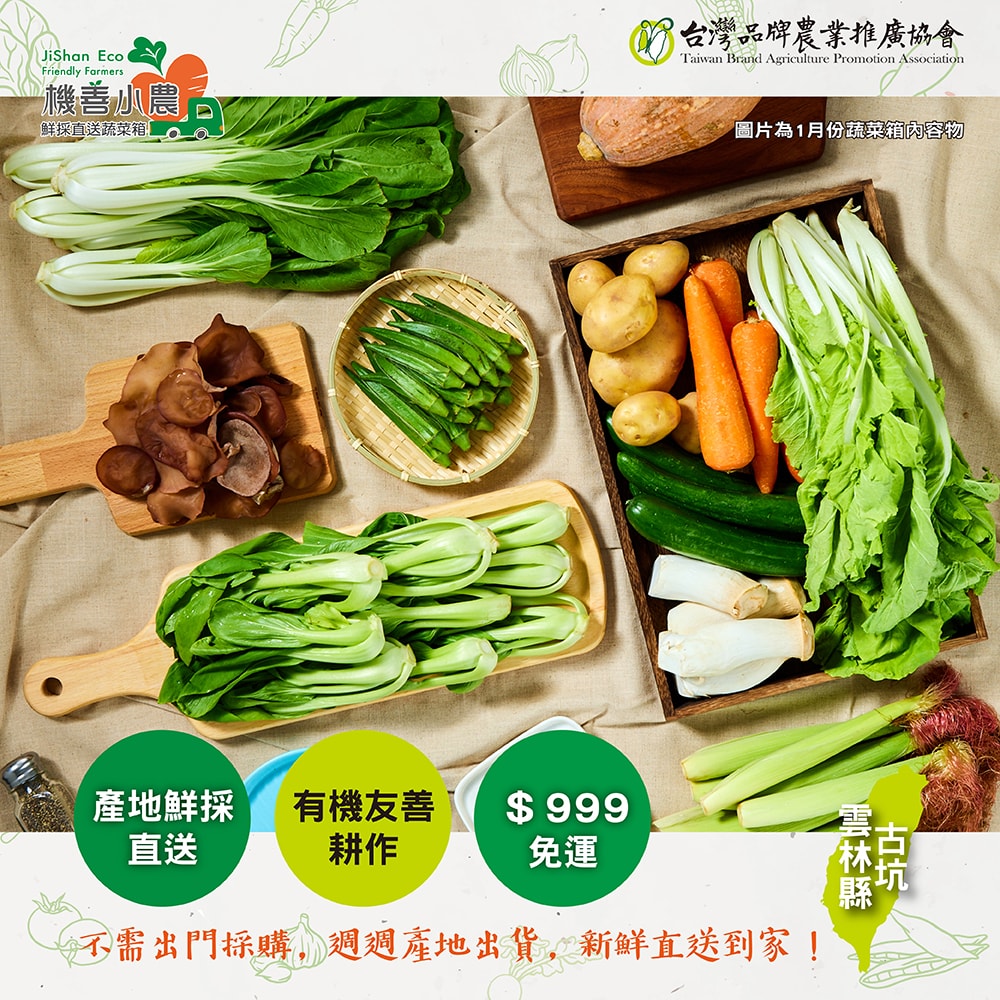【機善小農】雲林縣古坑_家庭箱_14件蔬菜箱(每週出箱)(有機友善/產地鮮採直送/支持家鄉好農產)