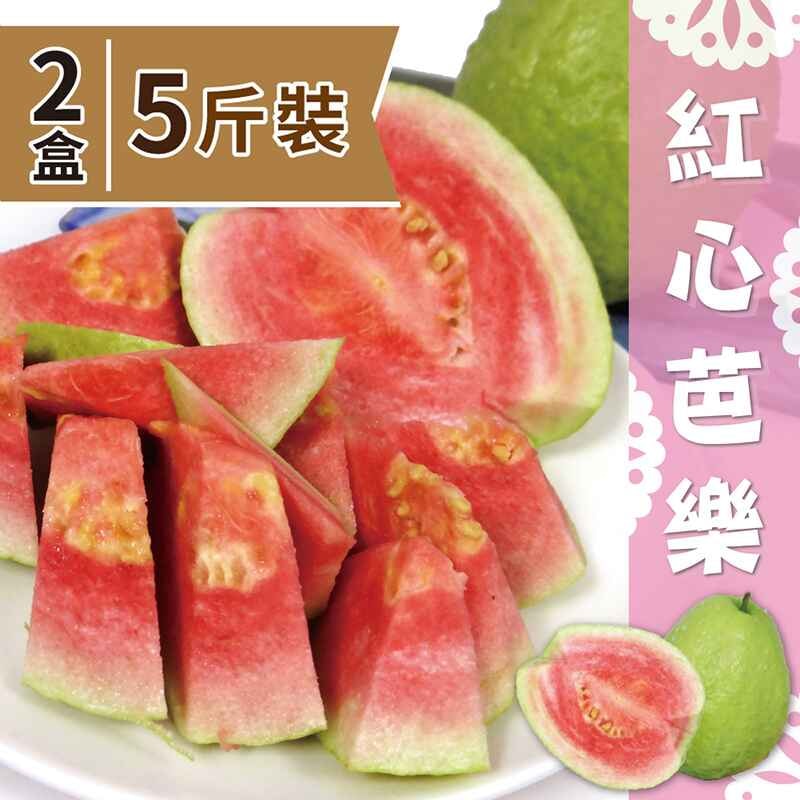 【家購網嚴選】屏東高樹特產 精選紅心芭樂5斤裝x2盒下單7個工作天出貨 免運組