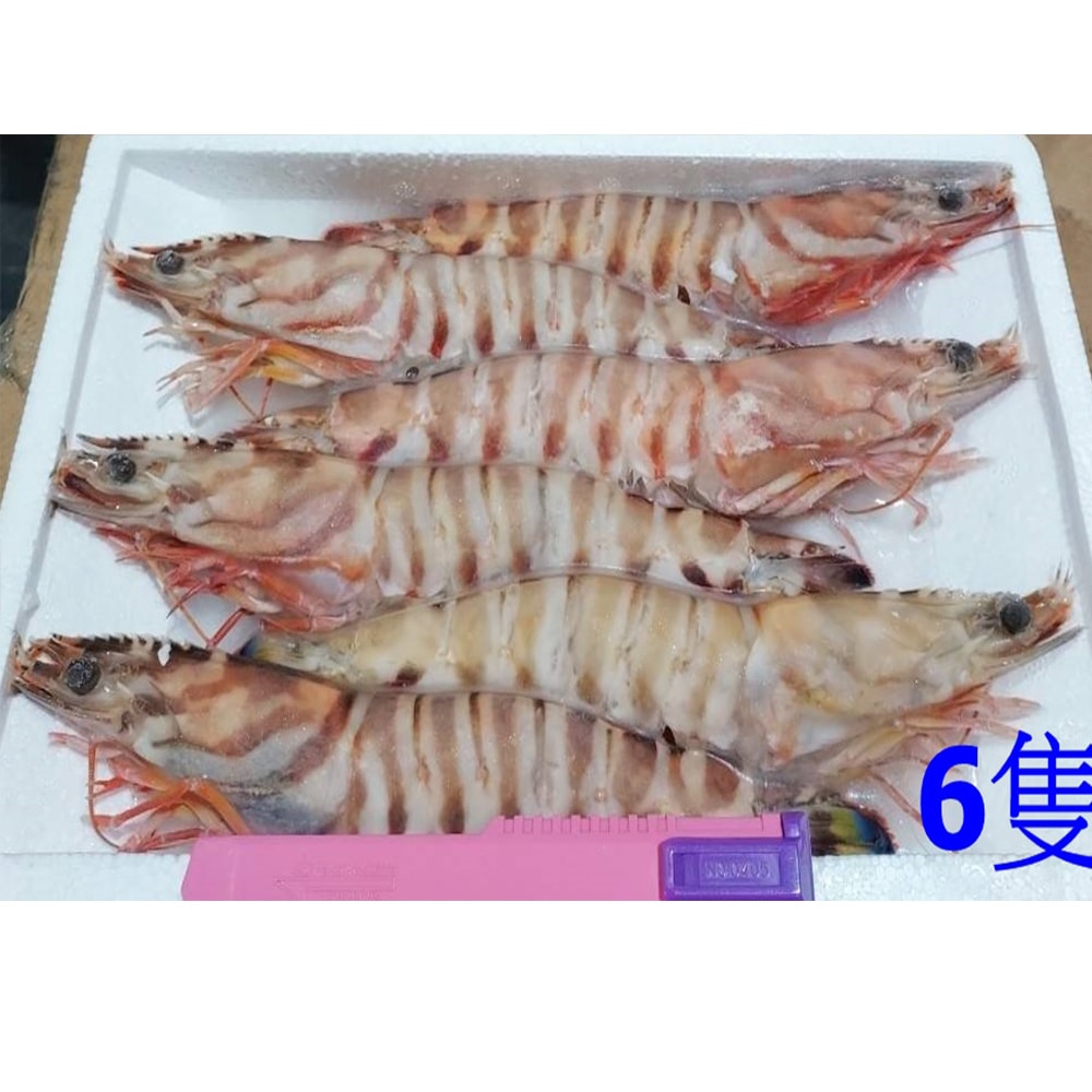 【華得水產】野生特大明蝦4盒(3-4尾/400g/盒)