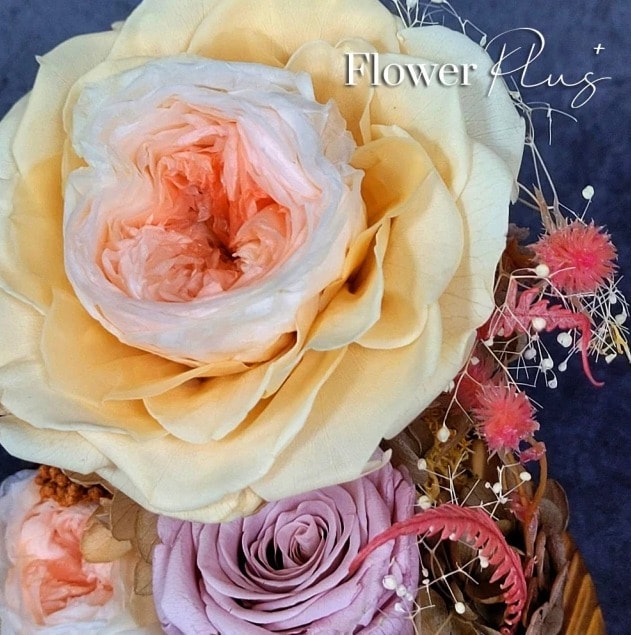 【Flower Plus】玫瑰花園｜永生花玻璃罩