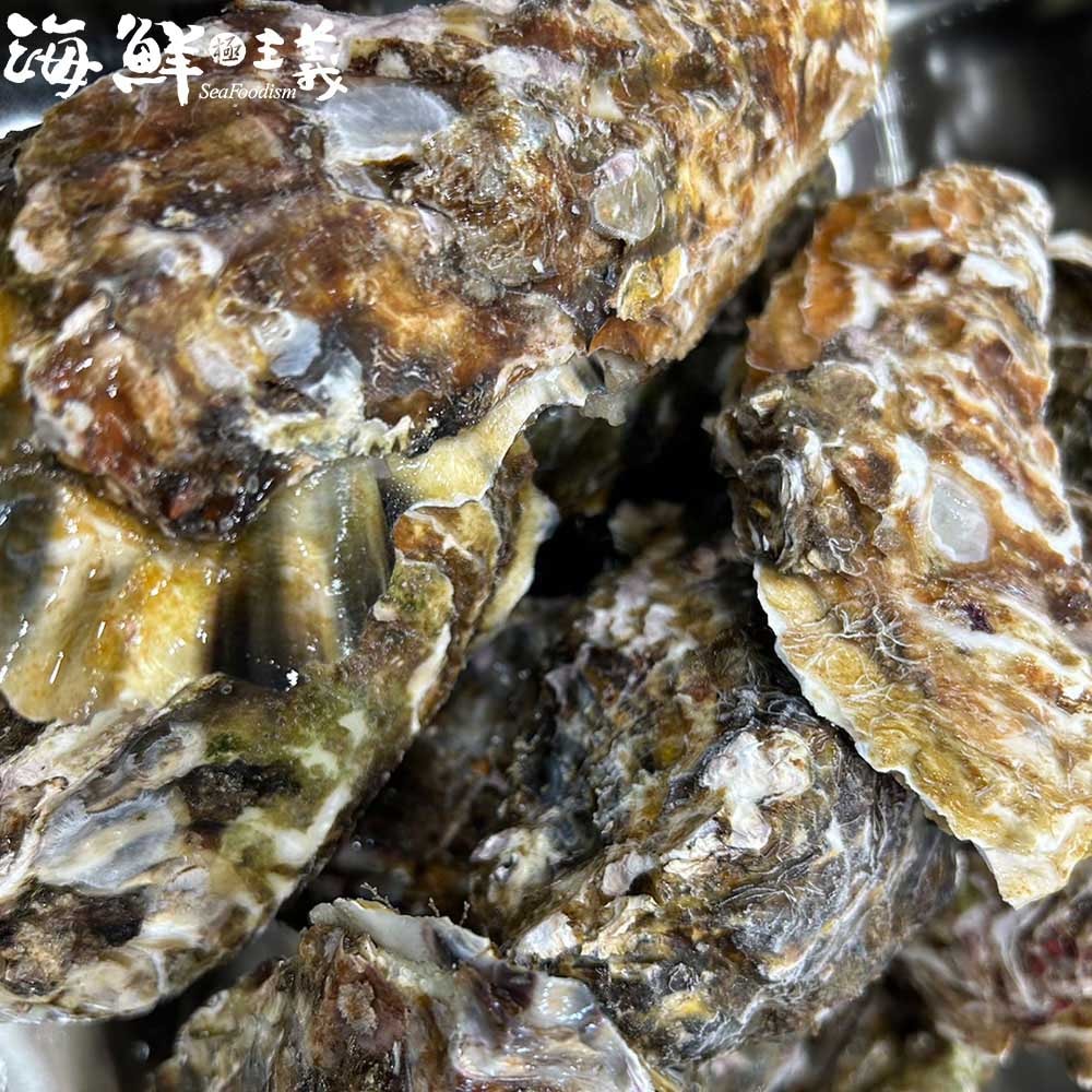 【海鮮主義】罐罐燒-廣島全殼生蠔1盒組(約11~12顆/盒;2kg/盒)