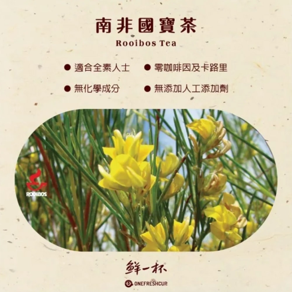 【鮮一杯】南非國寶茶茶包-南非國寶茶原味x4盒(2.5gx50入)