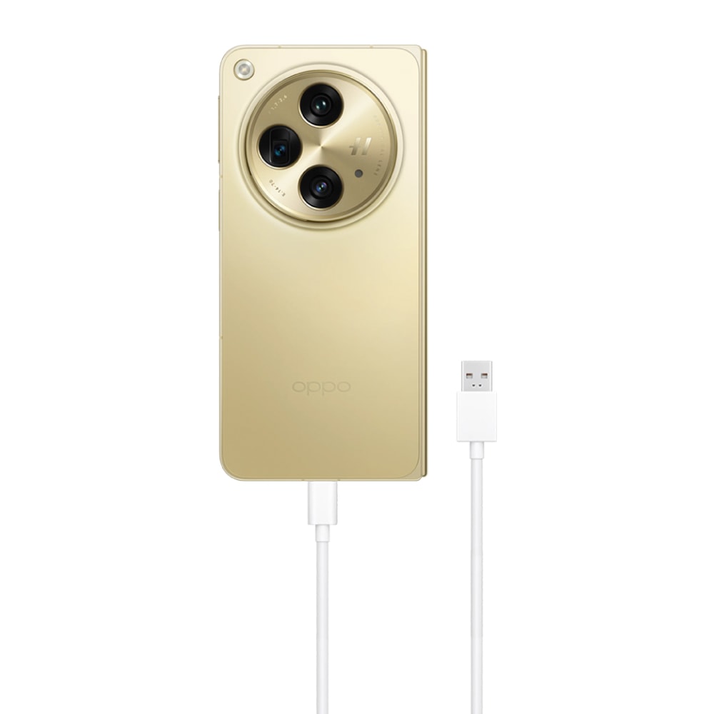 【OPPO】原廠DL129 10A Type-C 超級閃充充電線 SuperVOOC (密封裝)