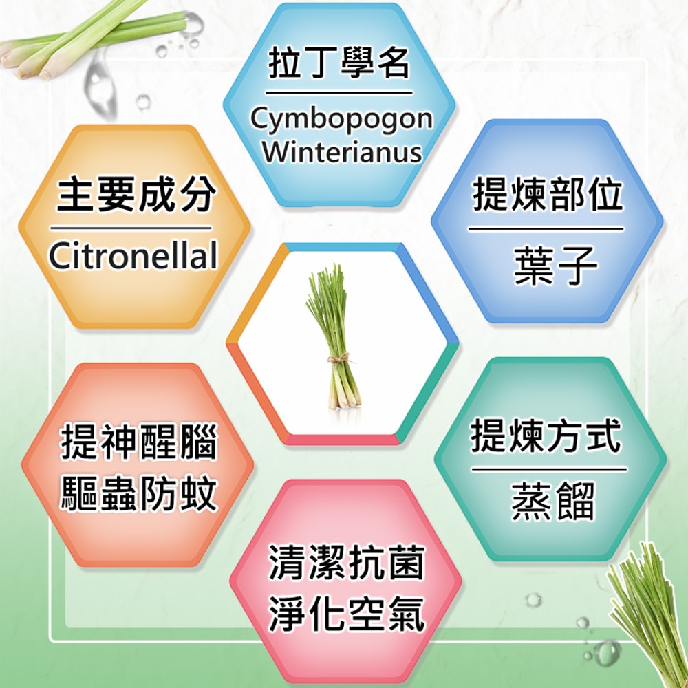 【Warm】單方純精油30ml-香茅 森林浴系列