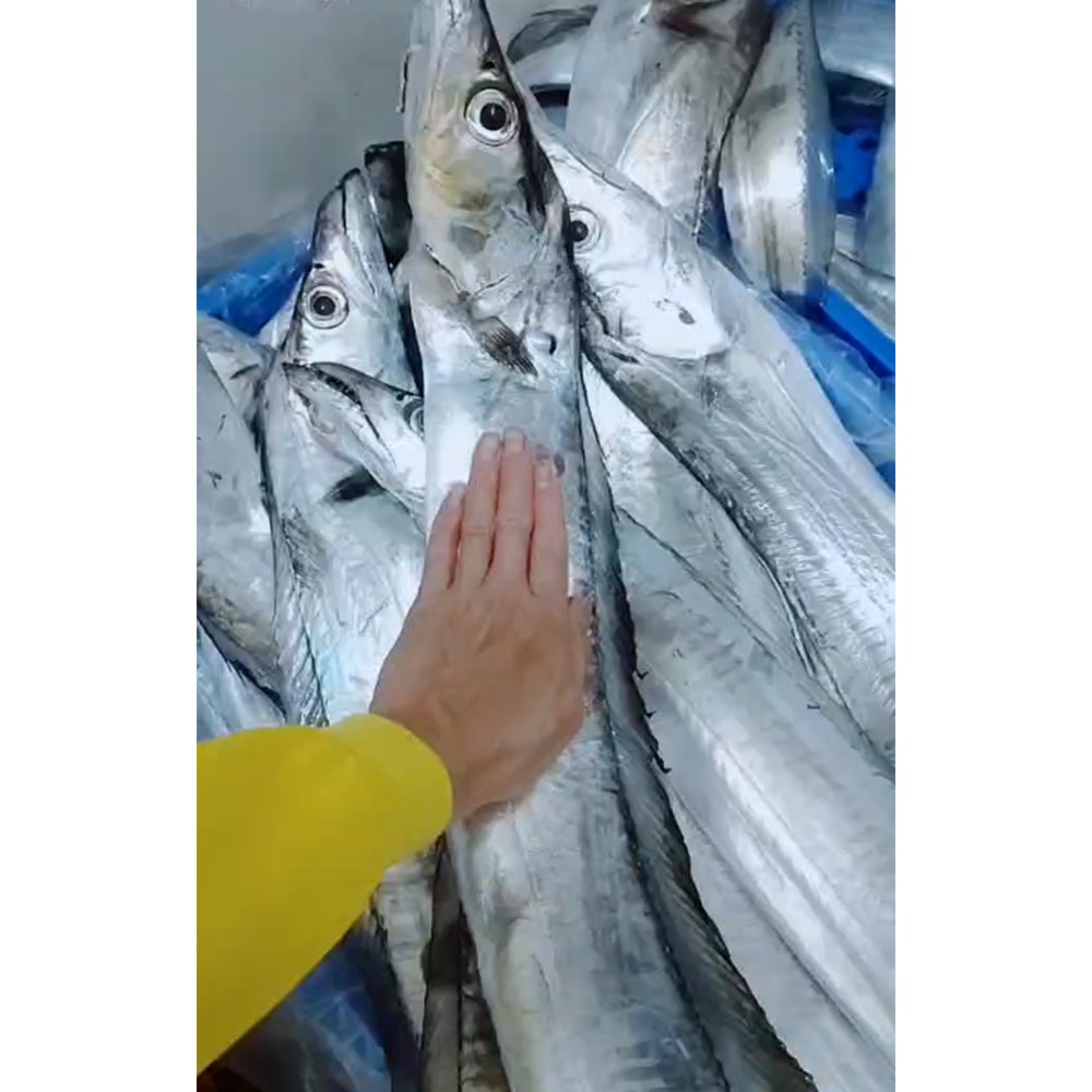 【華得水產】野生厚切特大白帶魚4包組(300g/包)