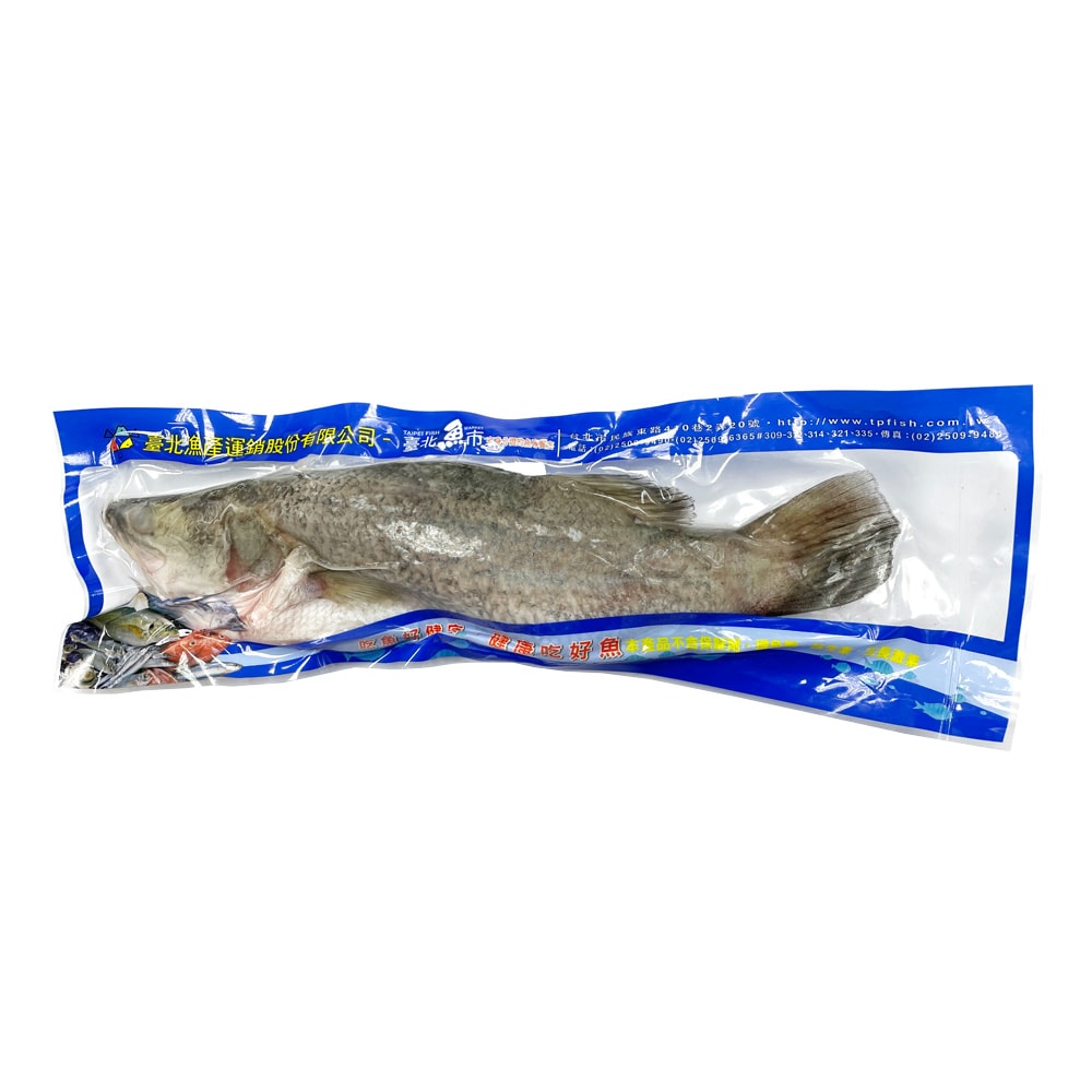 【臺北魚市】金目鱸(500~600g/尾)×5尾