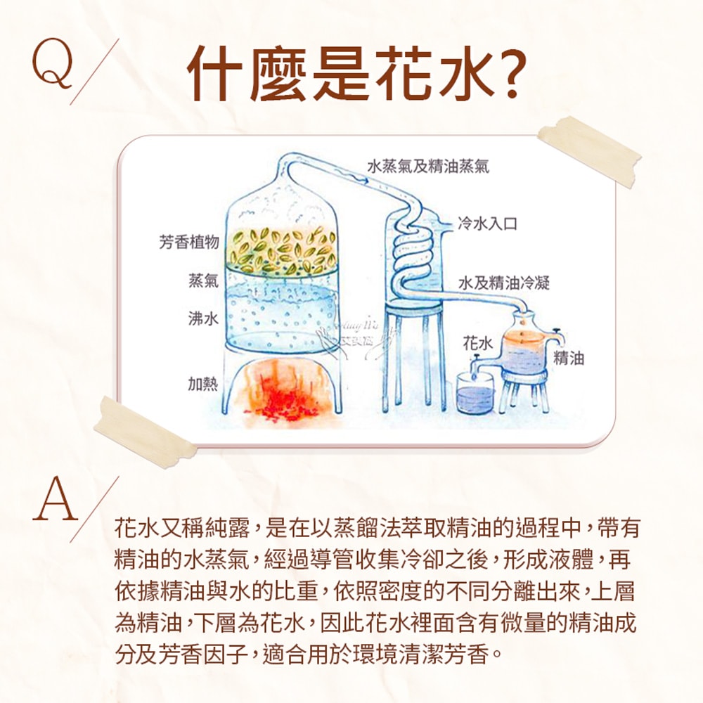 【Amywo 艾美窩】保加利亞-玫瑰 純露 花水 100ml 噴霧攜帶瓶