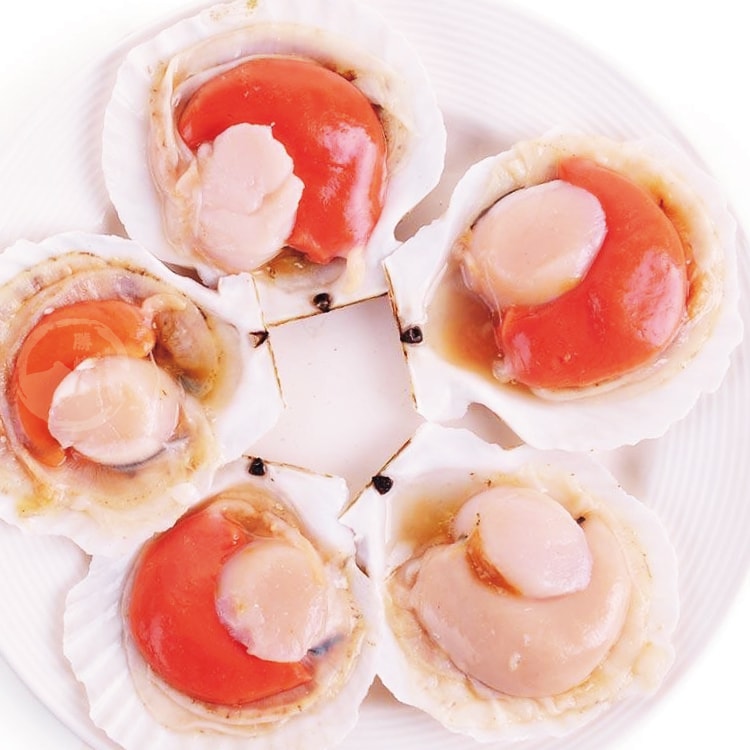 【勝崎生鮮】極鮮半殼扇貝5包組(300公克/1包)