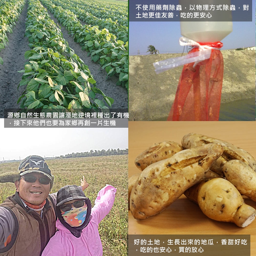 【源鄉自然生態農園】(預購)農民直配有機NG地瓜-台農57號(7台斤/箱)(下單後5個工作天出貨)