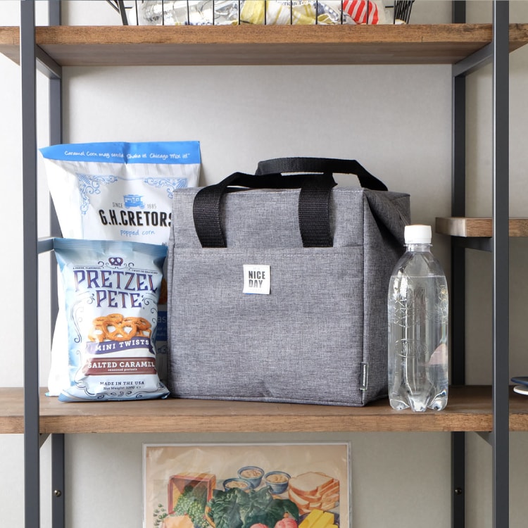 【Lustroware】日本岩崎兩用拉鍊保冷/便當袋-4L(原廠總代理)