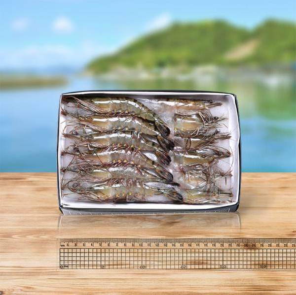 【漁夫鮮撈】嚴選活凍大草蝦12入350g/盒，共5盒