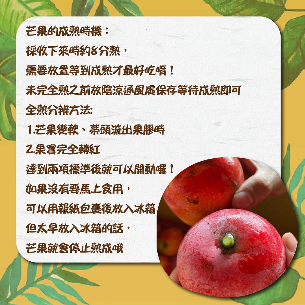 【禾鴻】屏東枋山山頂上的愛文芒果10斤x2箱(12-16顆/箱_大果)