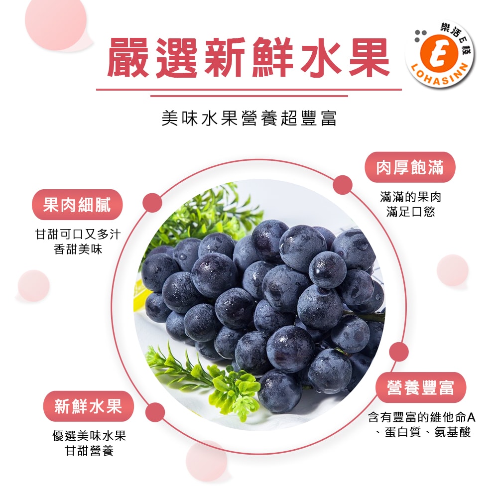 【樂活e棧】繽紛蒟蒻水果冰粽-葡萄口味8顆x2盒(端午 粽子 甜點 全素)(D+7出貨)