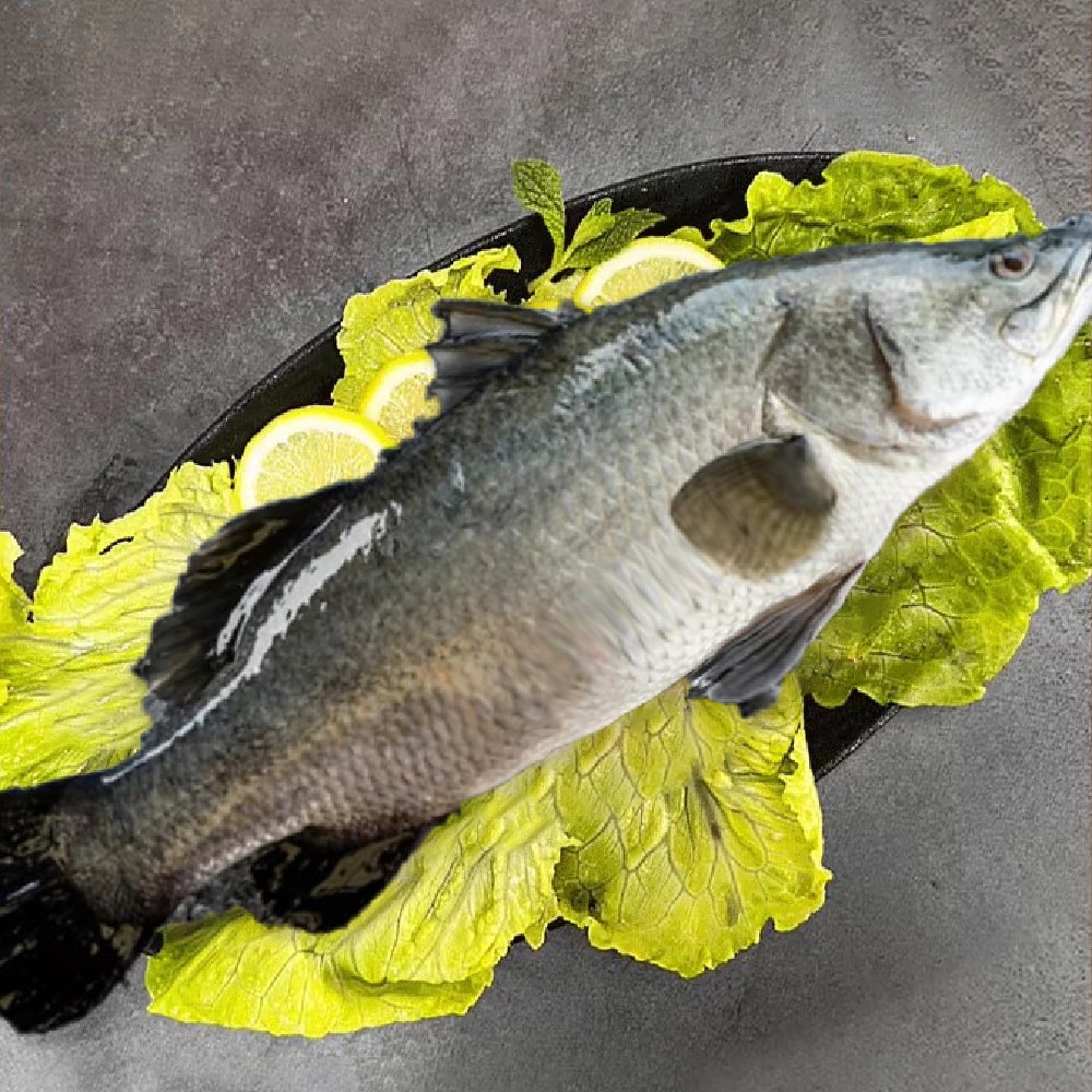 【帥哥魚海鮮】生態養殖金目鱸魚4尾組(單尾殺清前600g)