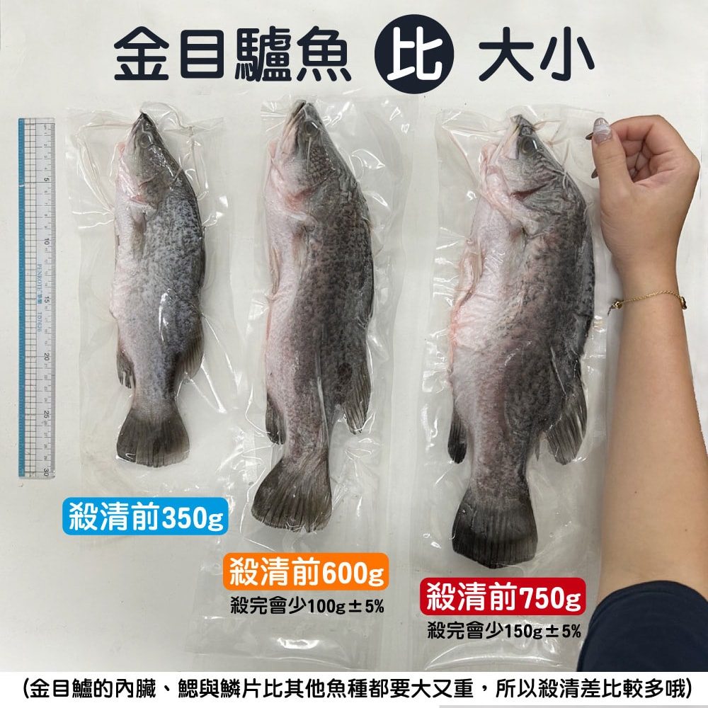 【帥哥魚海鮮】生態養殖金目鱸魚4尾組(單尾殺清前600g)