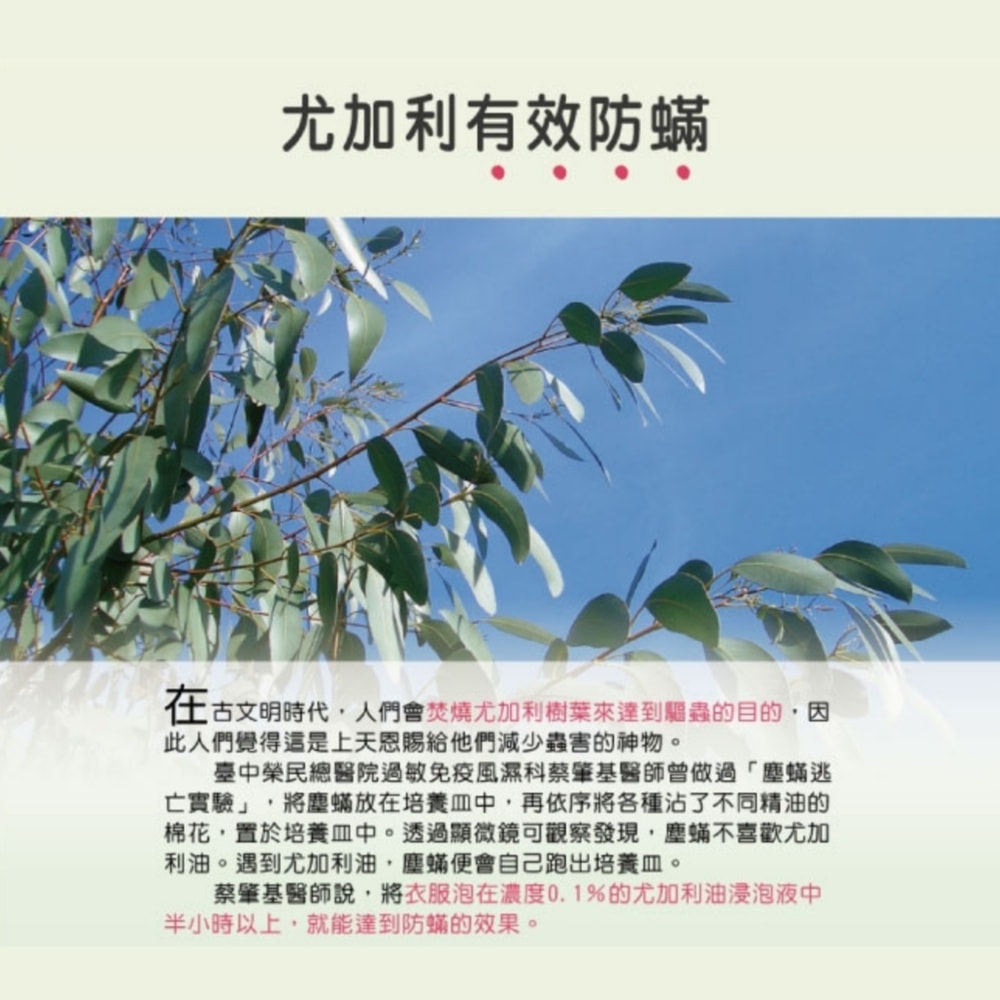 【白鴿】天然洗衣精補充包2000mlx6包