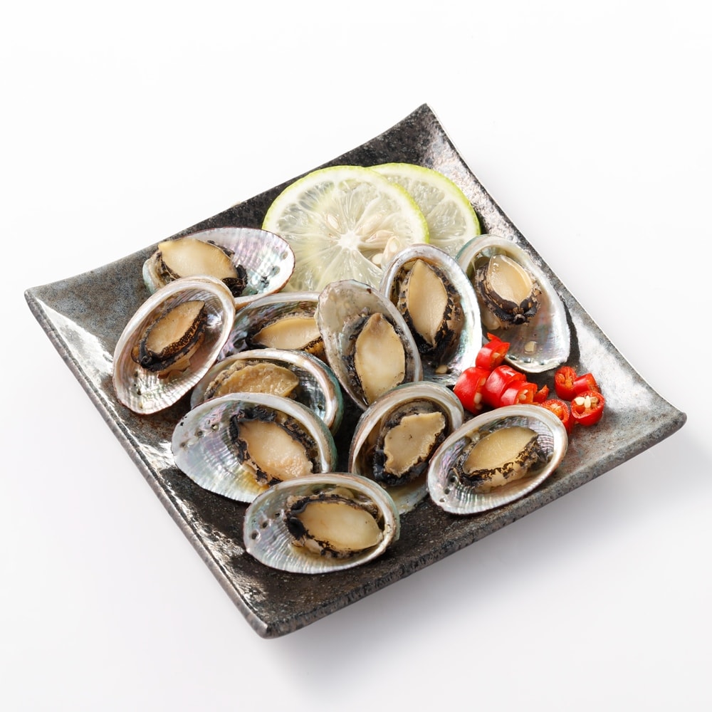 【華得水產】台灣宜蘭九孔小鮑魚16包組(500g土10%/14-18粒/包)