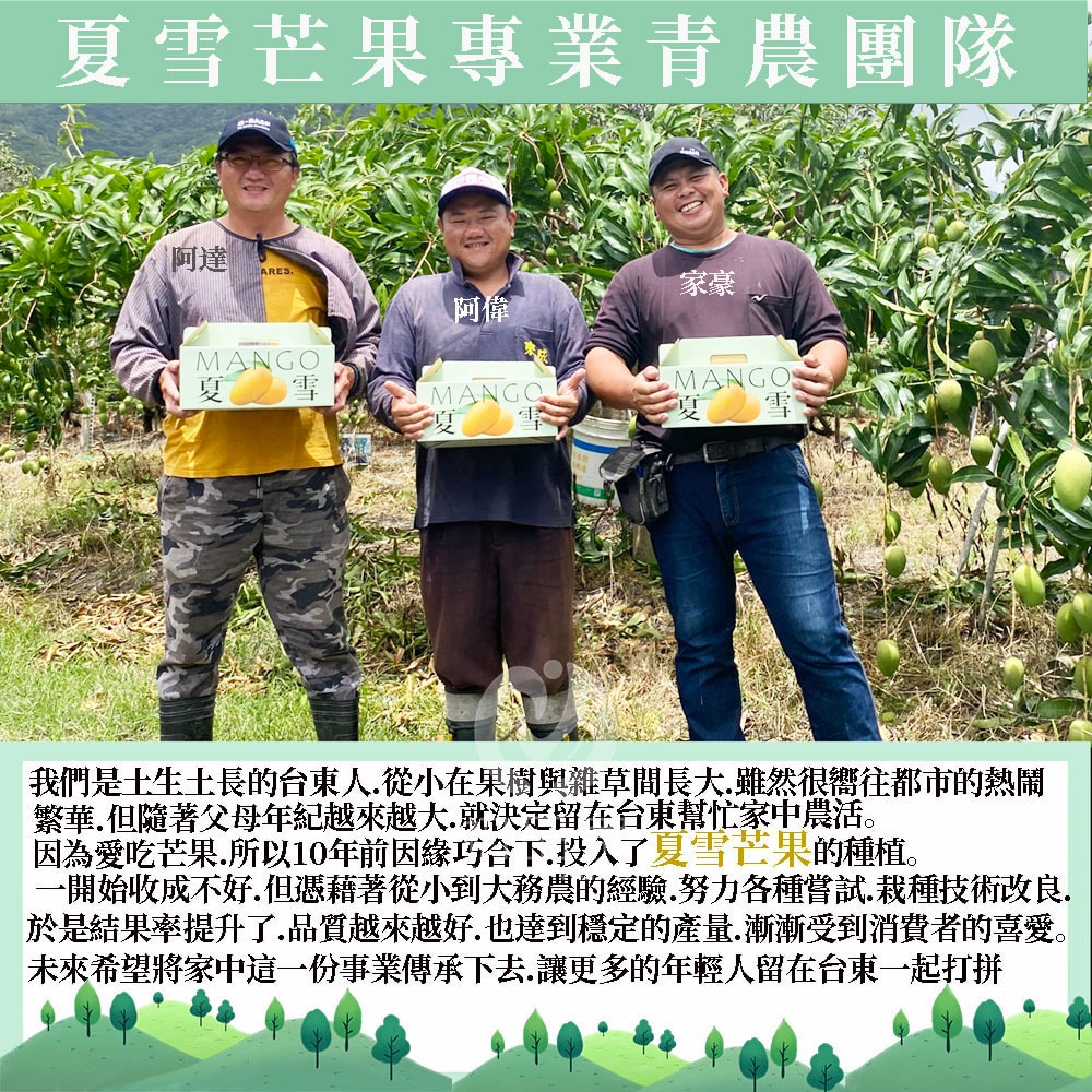 【初品果】(預購)台東夏雪芒果4斤4-8顆x1盒_6/15開始陸續出貨
