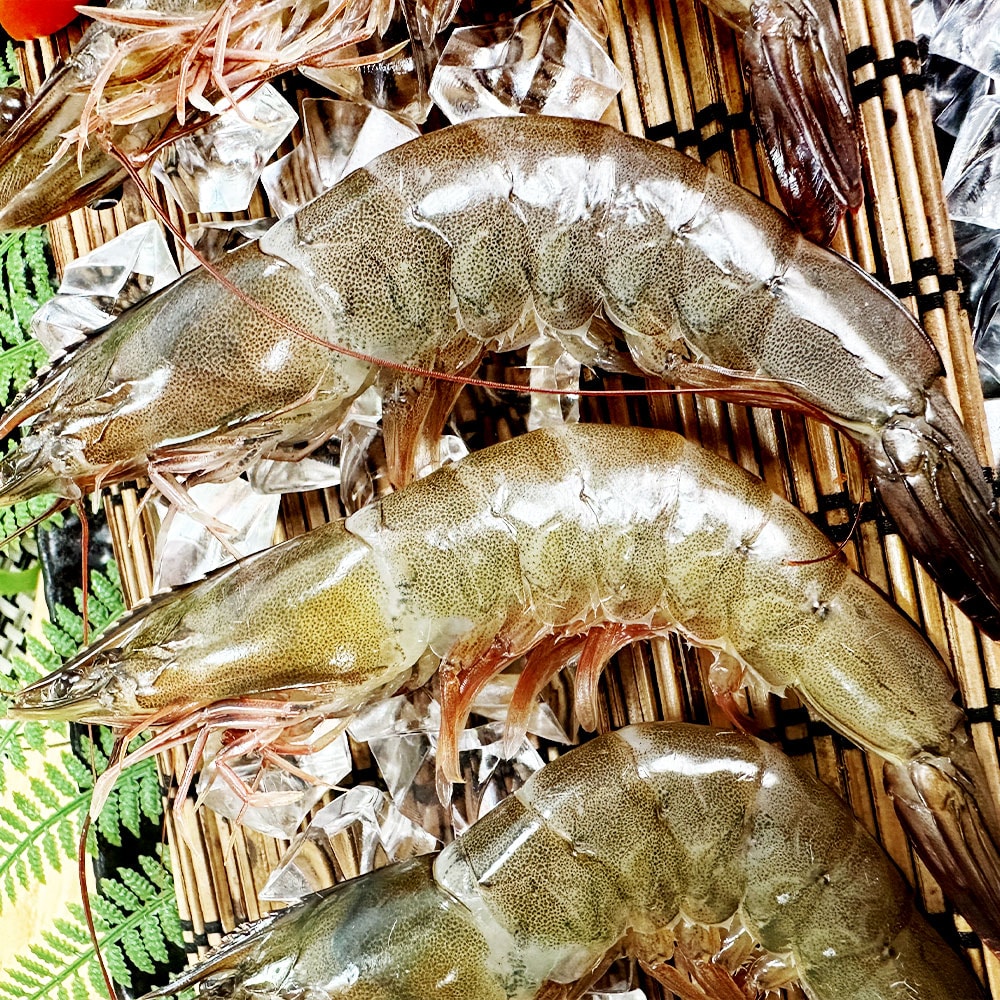 【鮮綠生活】鮮凍白蝦共6盒 (規格41/50，600g/盒，約25~28隻)