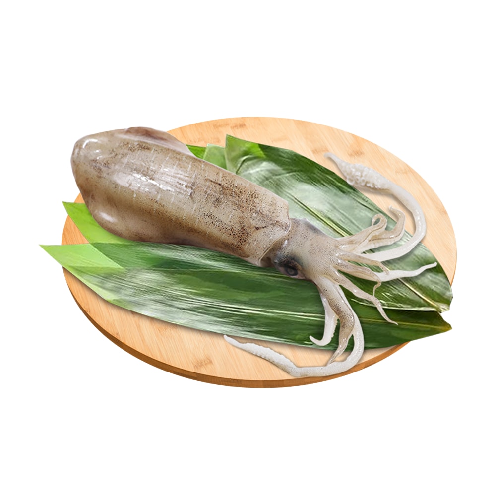 【勝崎生鮮】鮮脆活凍軟絲3隻組(330公克/1隻)
