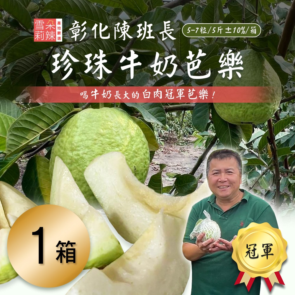 【雪莉朵辣嚴選】彰化陳班長冠軍 白肉芭樂x1箱(七個工作天內出貨)