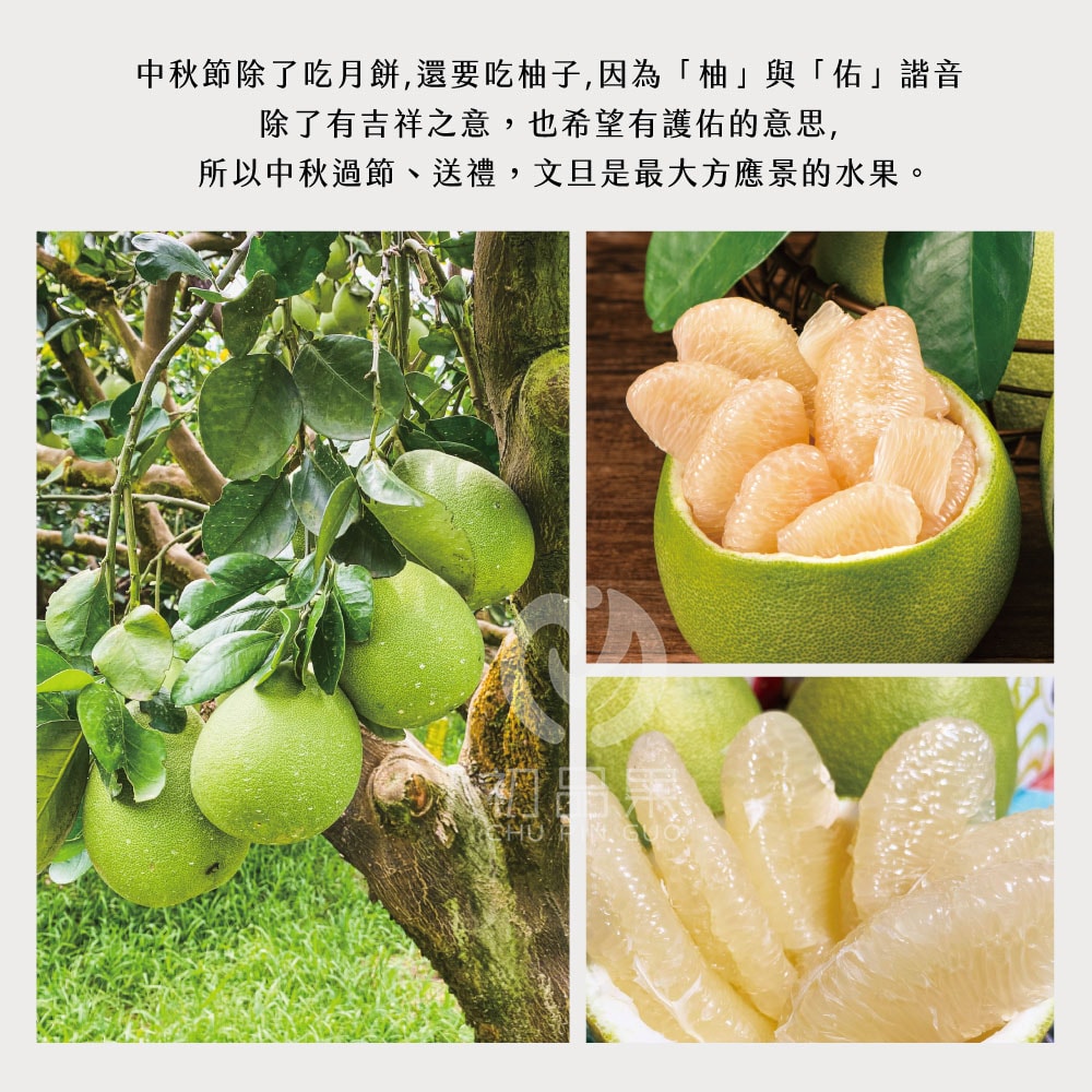 【初品果】【預購】花蓮鶴岡老欉文旦禮盒10斤7-9顆x1箱_8/25起開始出貨