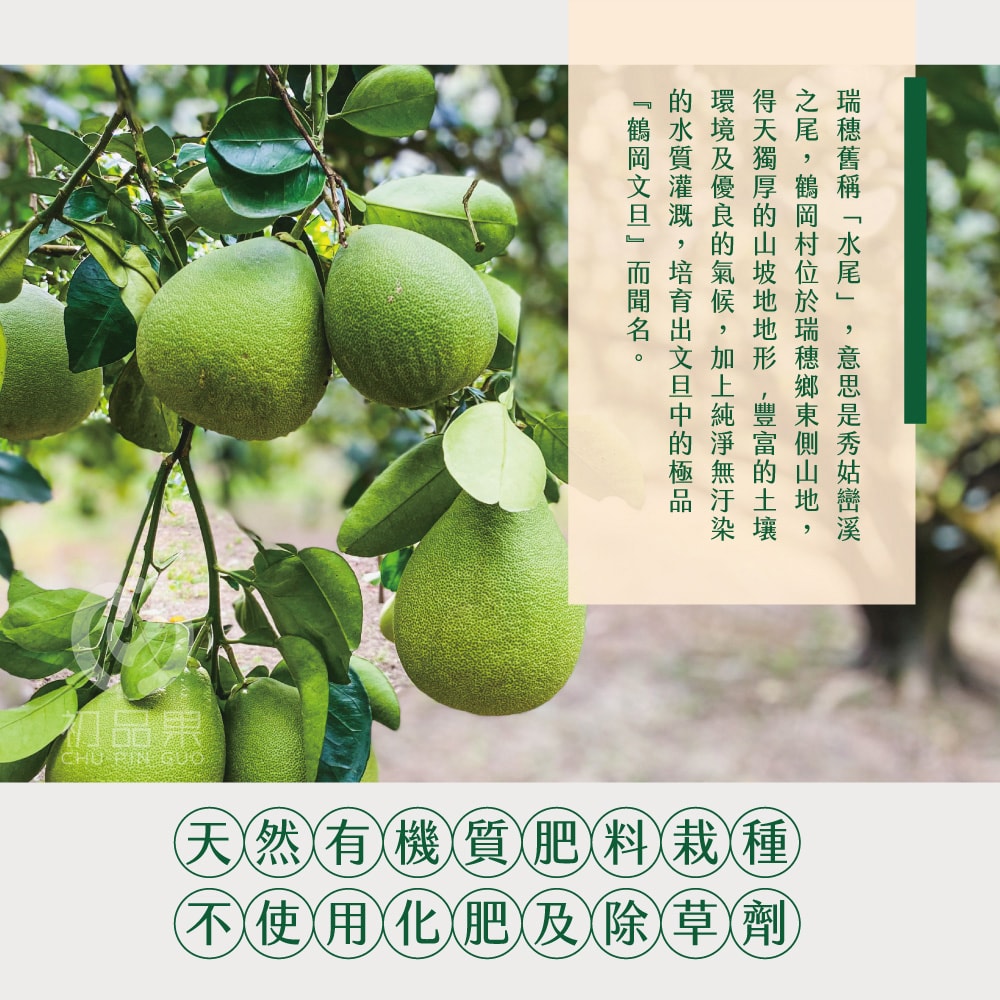 【初品果】【預購】花蓮鶴岡老欉文旦禮盒10斤7-9顆x1箱_8/25起開始出貨