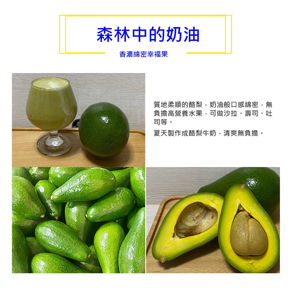 【台東好釋】預購 台東太麻里新鮮酪梨5台斤x1箱(5~9顆/箱_產地直送_友善耕種_禮盒裝)下單後8個工作天出貨