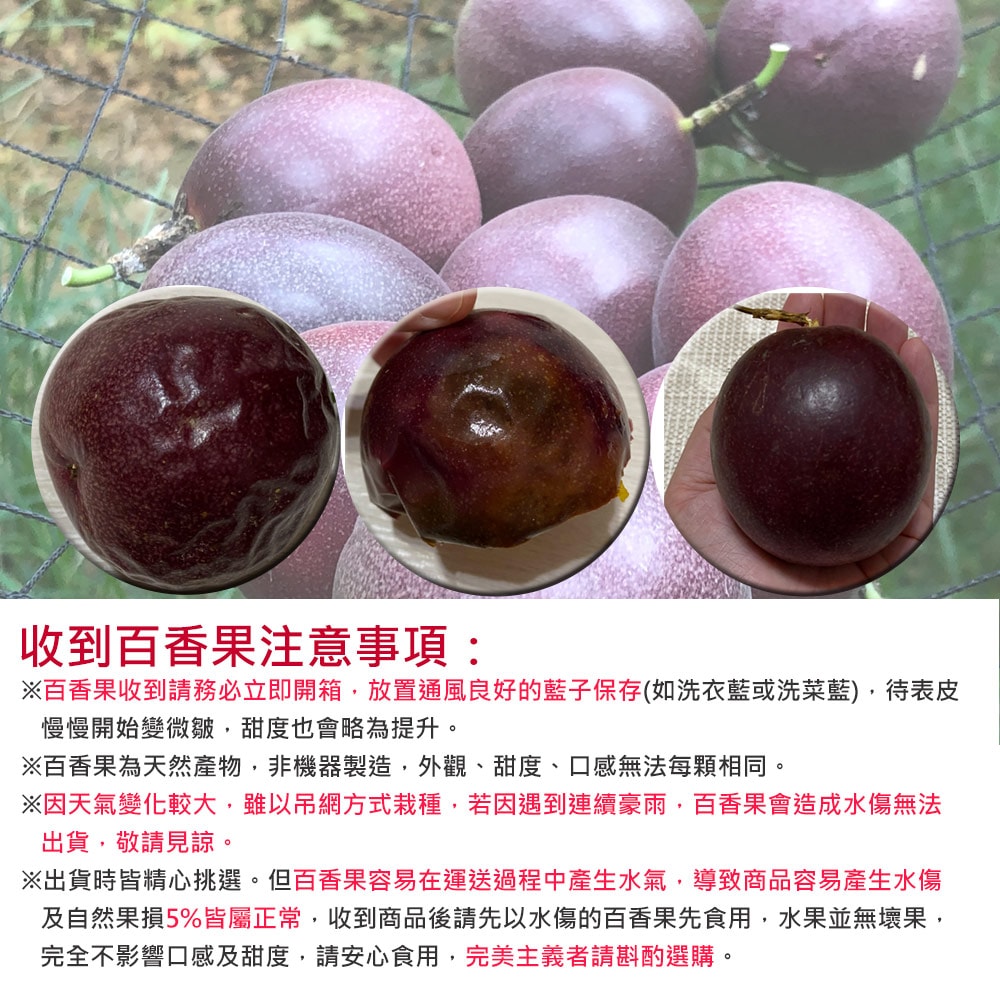 【優質嚴選】南投埔里大坪頂直送 特級台農1號百香果5台斤x4箱(產地直送_友善耕種)，下訂後15個工作天內出貨