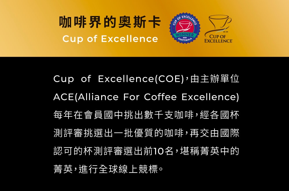 【愛森客】2023瓜地馬拉COE競標第三名 咖啡豆
