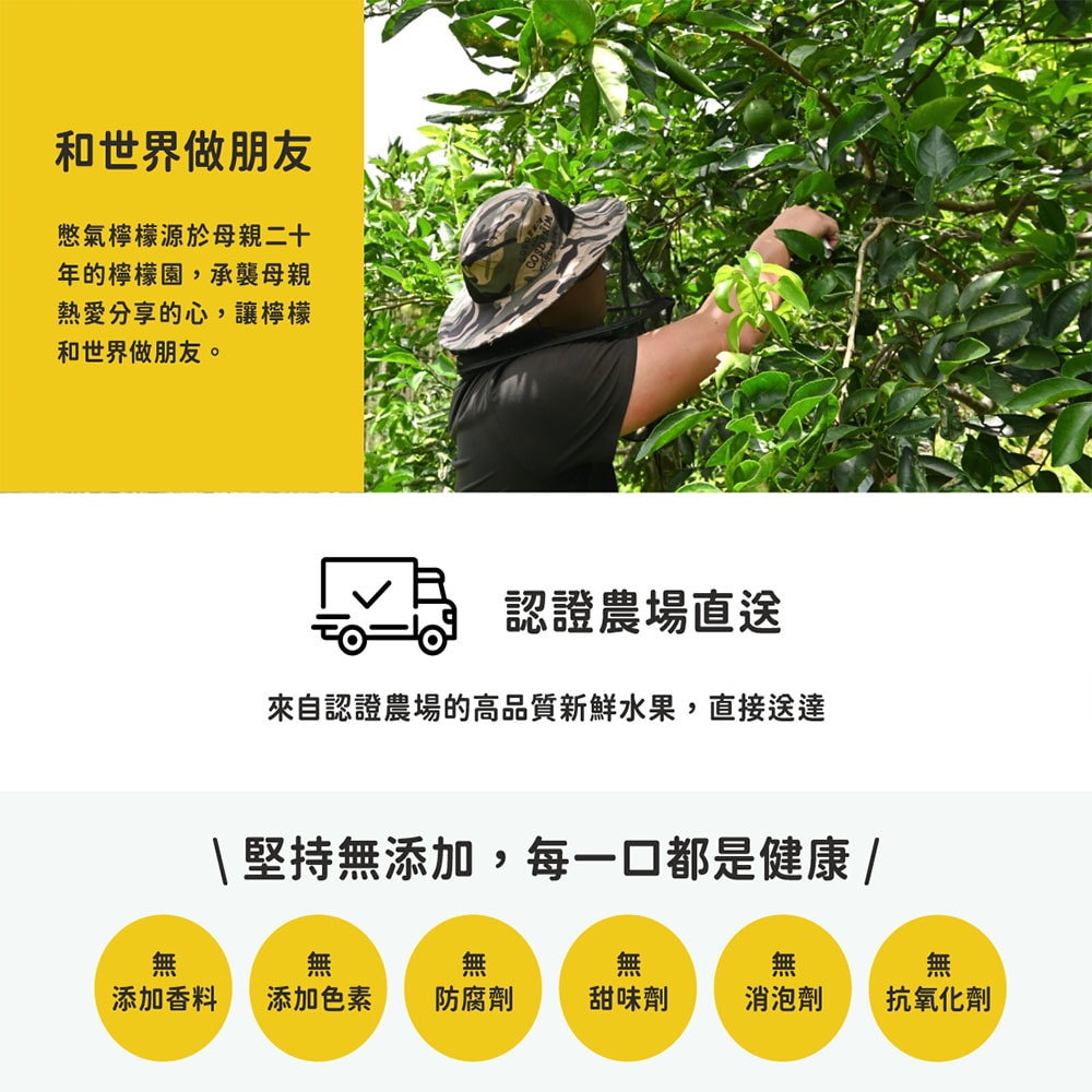 【憋氣檸檬】百香鮮橙檸檬/芭樂檸檬吸凍飲任選12杯(249g/杯)