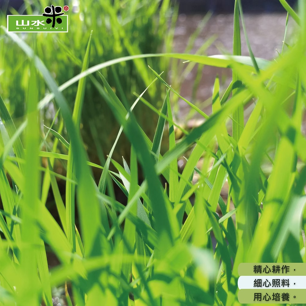 【山水米】平安祈福米1KG/16入