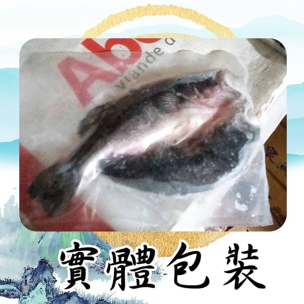 【好神】山泉活水養殖鱸魚(400-500g/尾)2尾