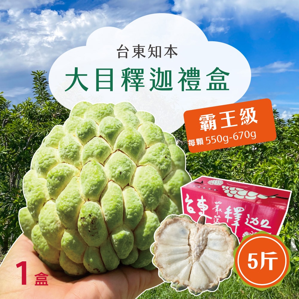 【初品果】台東知本大目釋迦禮盒5斤4-5顆x1盒_每顆550g-670g_12/21開始陸續出貨.周五-周日及例假日前一天不出貨