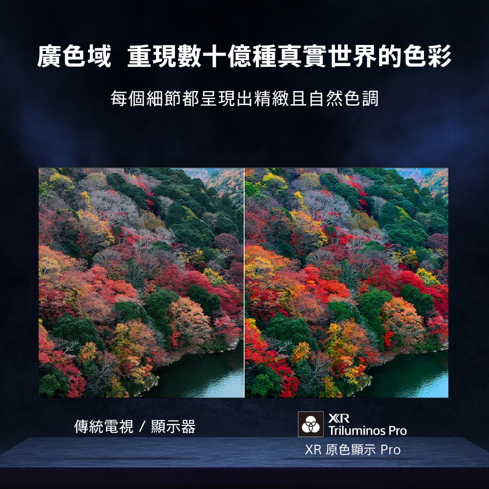 【SONY 索尼】BRAVIA 8 65型 XR OLED 4K HDR Google TV顯示器 Y-65XR80 (含運+基本安裝)