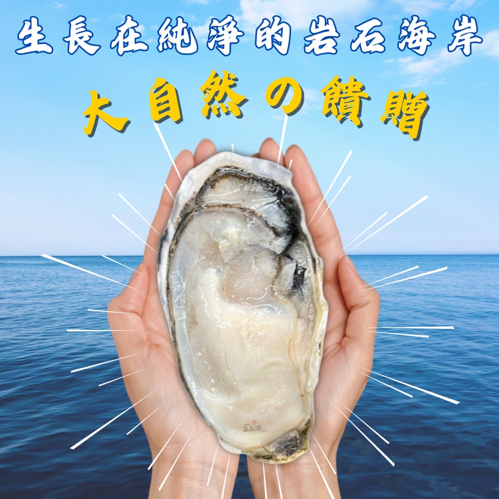 【五朝港水產】韓國半殼大生蠔 15公分 超澎拜30顆送15顆