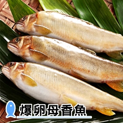 【海之醇】宜蘭大規格爆卵母香魚-2盒12隻組(920g±10%/盒/6隻)