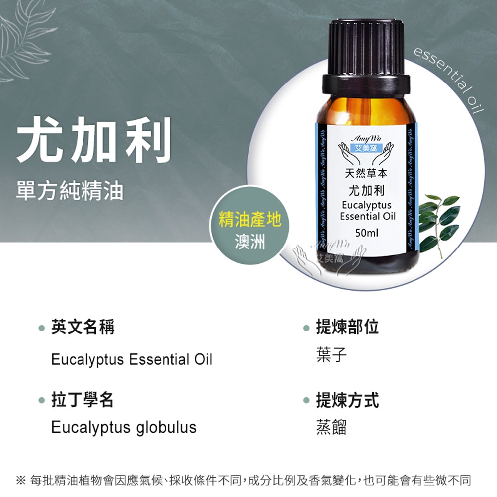 【Amywo 艾美窩】純尤加利精油 50ml