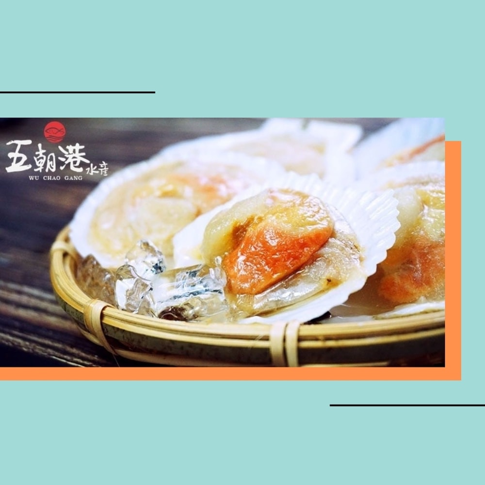 【五朝港水產】鮮美半殼扇貝(特優等級) 500克±10%/包  共兩包