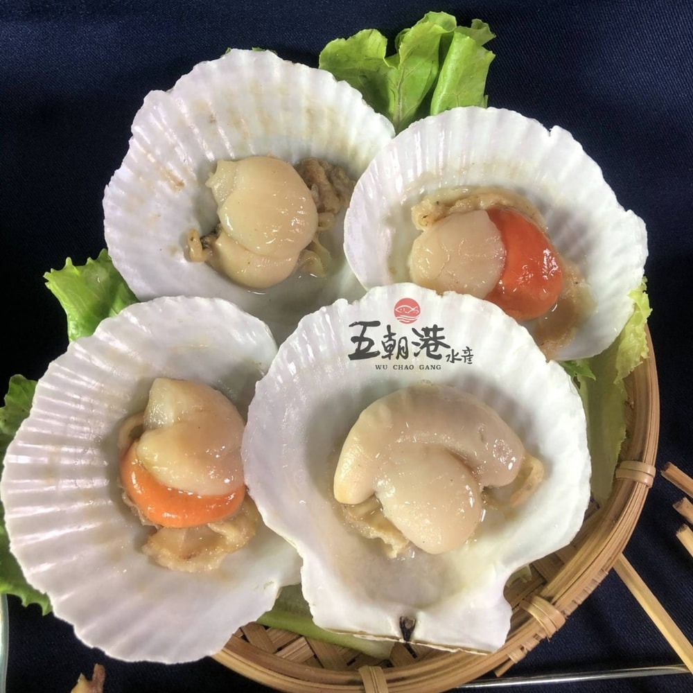 【五朝港水產】鮮美半殼扇貝(特優等級) 500克±10%/包  共兩包