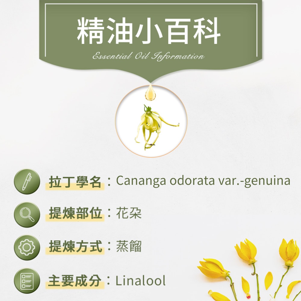 【ANDZEN】安得仁 單方純精油30ml(依蘭-伊蘭) 澳洲 原裝 進口