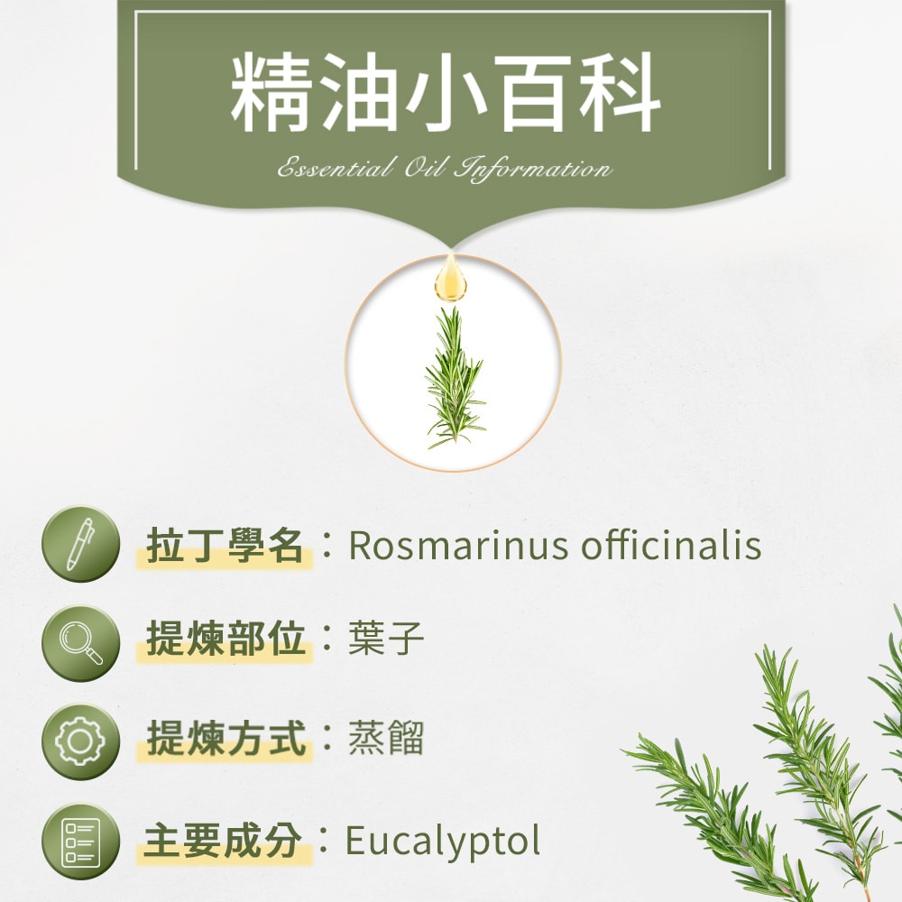 【ANDZEN】安得仁 單方純精油100ml(迷迭香) 澳洲 原裝 進口