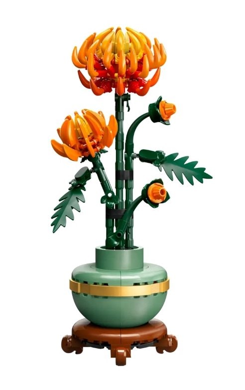 【LEGO 樂高】磚星球〡 10368 花藝系列 菊花 Chrysanthemum