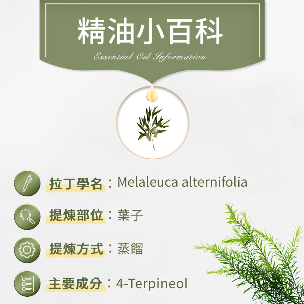 【ANDZEN】安得仁 單方純精油100ml(茶樹) 澳洲 原裝 進口