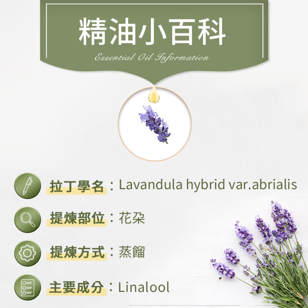 【ANDZEN】安得仁 單方純精油100ml(醒目薰衣草) 澳洲 原裝 進口