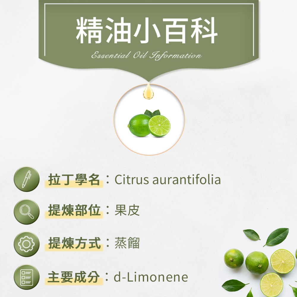 【ANDZEN】安得仁 單方純精油30ml(青檸-萊姆) 澳洲 原裝 進口